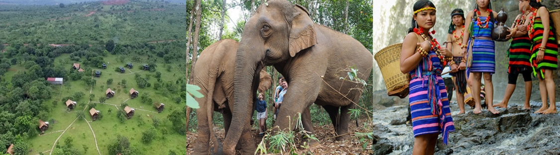 Quelle Est La Meilleure Période Pour Visiter Mondulkiri Cambodge ?